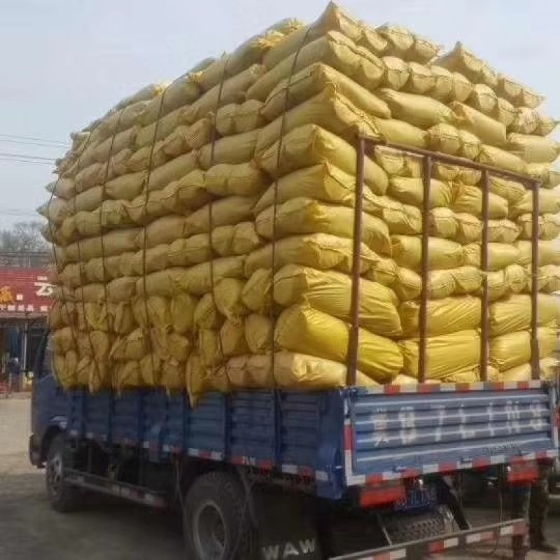 营养杯12×25×1000，各种型号柑橘杯包邮到家！