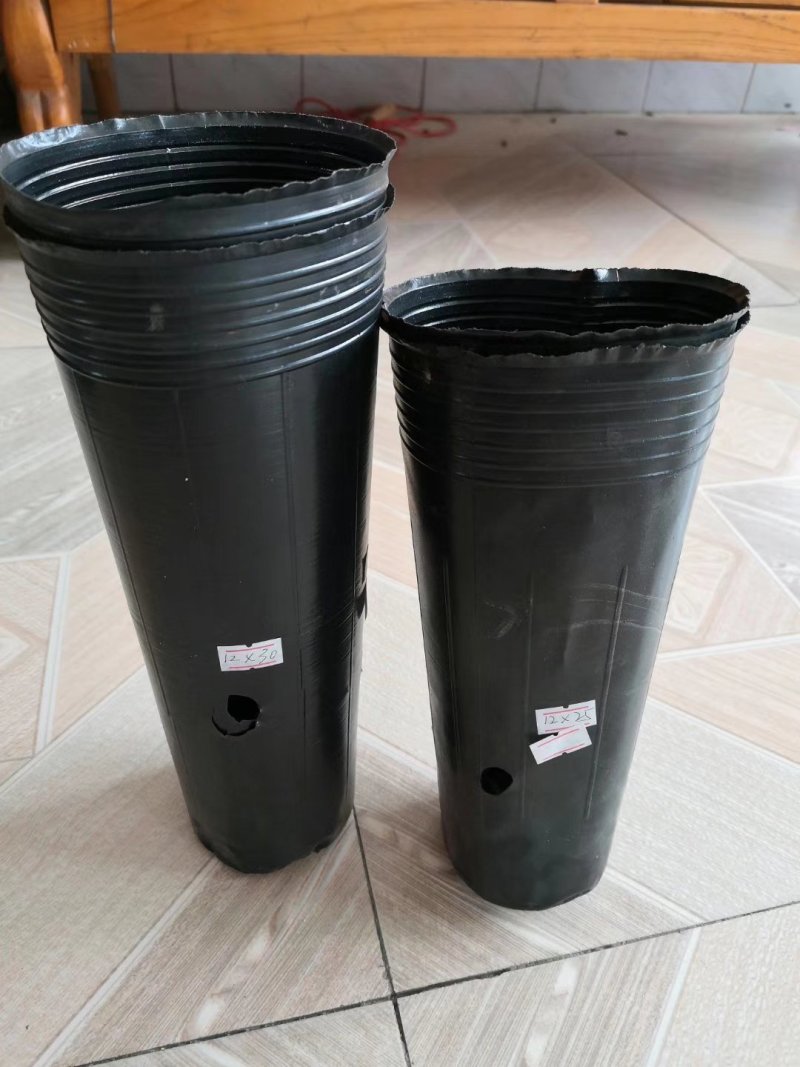 营养杯12×25×1000，各种型号柑橘杯包邮到家！