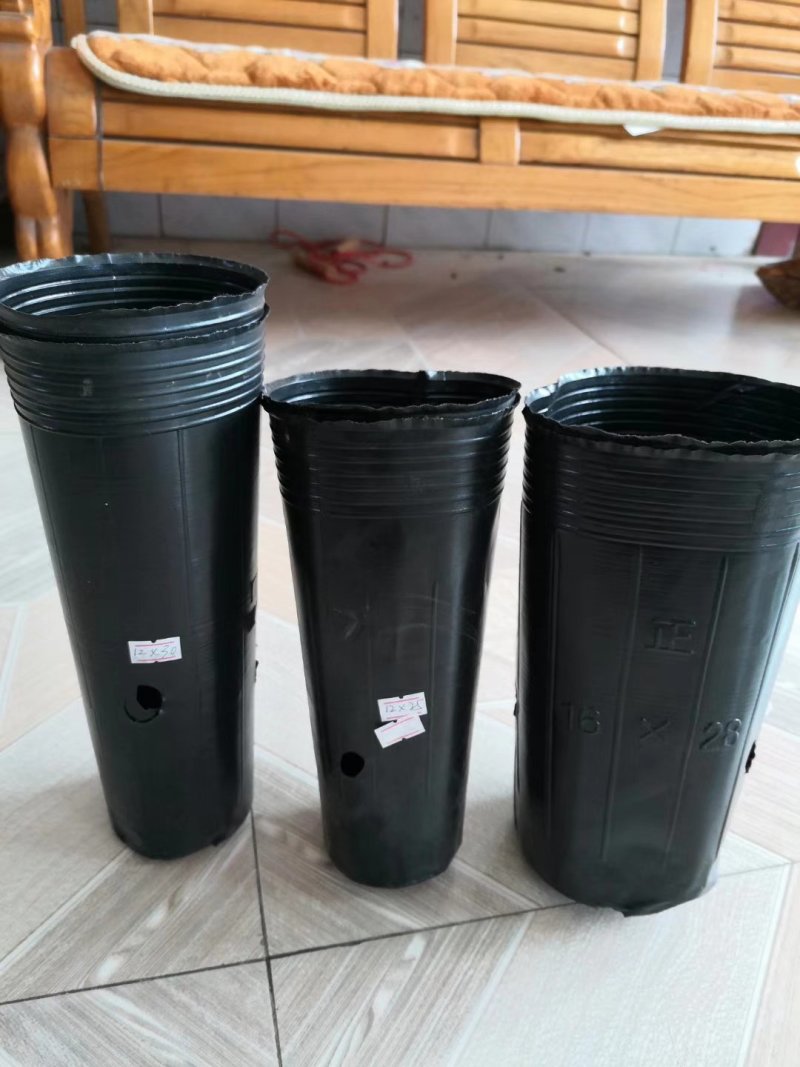 营养杯12×25×1000，各种型号柑橘杯包邮到家！