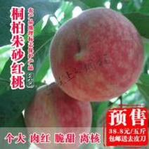 桐柏朱砂红桃，国家地理保护品种。