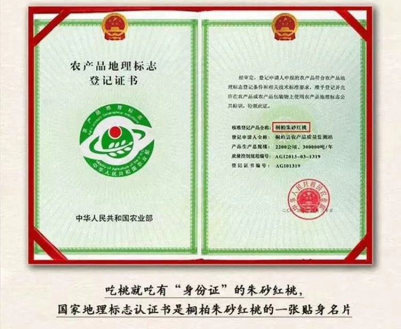 桐柏朱砂红桃，国家地理保护品种。