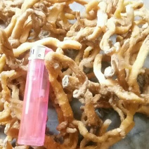 玉竹条、干度好，甜度高，无硫产品，数量不多！