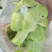 涪陵榨菜和北京榨菜品质保证