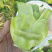 涪陵榨菜和北京榨菜品质保证