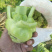 涪陵榨菜和北京榨菜品质保证