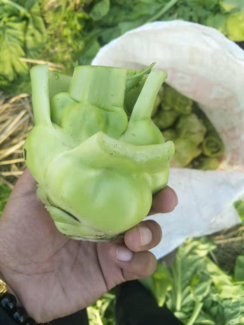 涪陵榨菜和北京榨菜品质保证