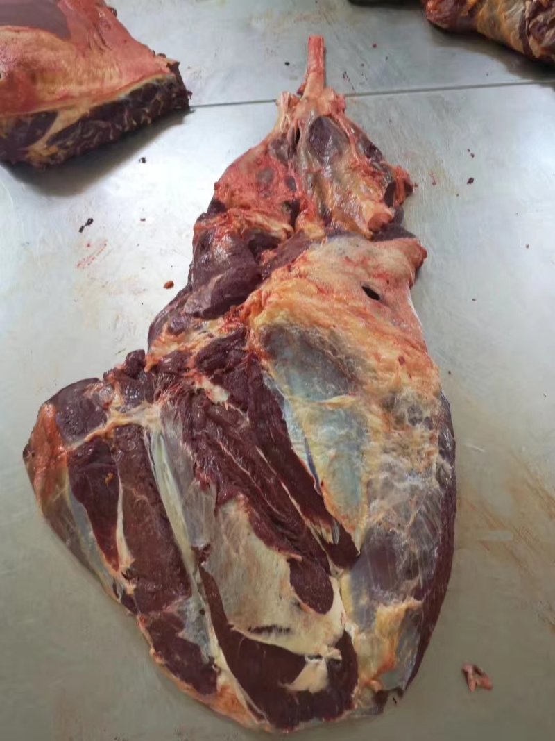 蒙古国草原生态马肉，超码四分体马肉，冷冻马肉