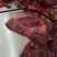 蒙古国草原生态马肉，超码四分体马肉，冷冻马肉