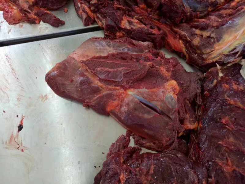 蒙古国草原生态马肉，超码四分体马肉，冷冻马肉