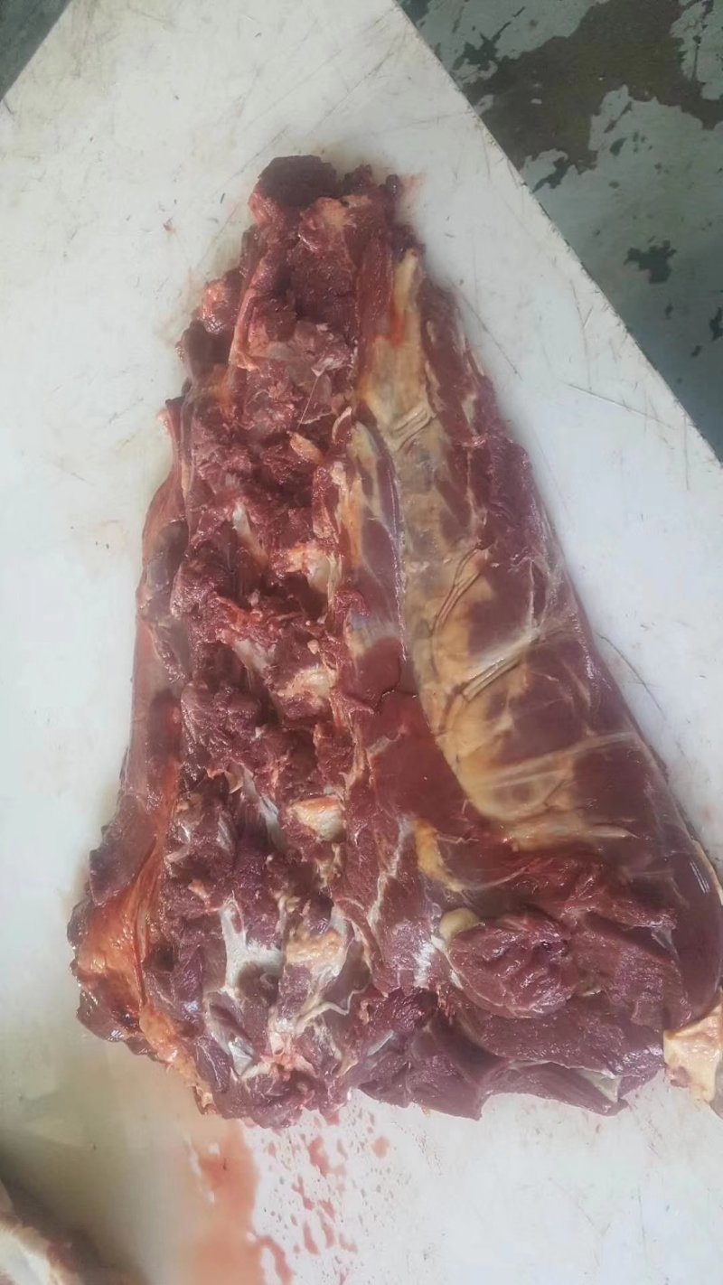蒙古国草原生态马肉，超码四分体马肉，冷冻马肉