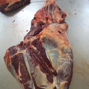蒙古国草原生态马肉，四分体马肉，冷冻马肉
