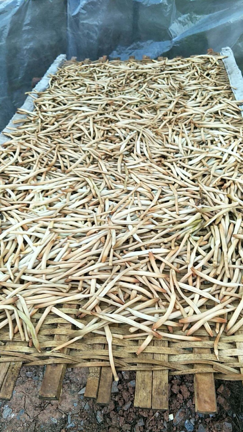 西北黄花菜，无硫，原汁原味，质量保证，诚信经营，全国发货
