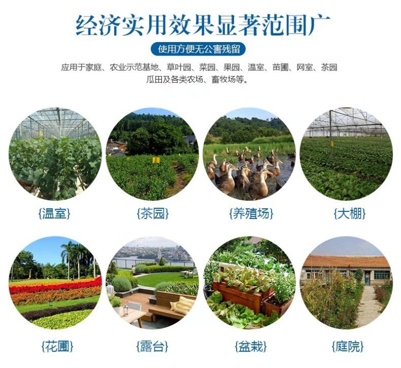 粘虫板，黄板蓝板，双面粘虫板，20✘25诱虫板，果园