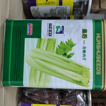 皇后黄嫩西芹芹菜种籽四季播实心芹菜种籽原装250克