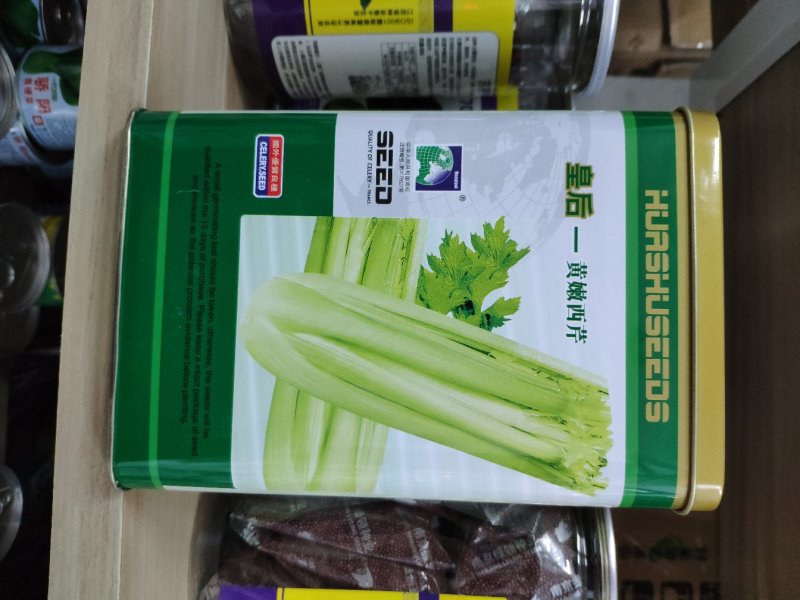 皇后黄嫩西芹芹菜种籽四季播实心芹菜种籽原装250克