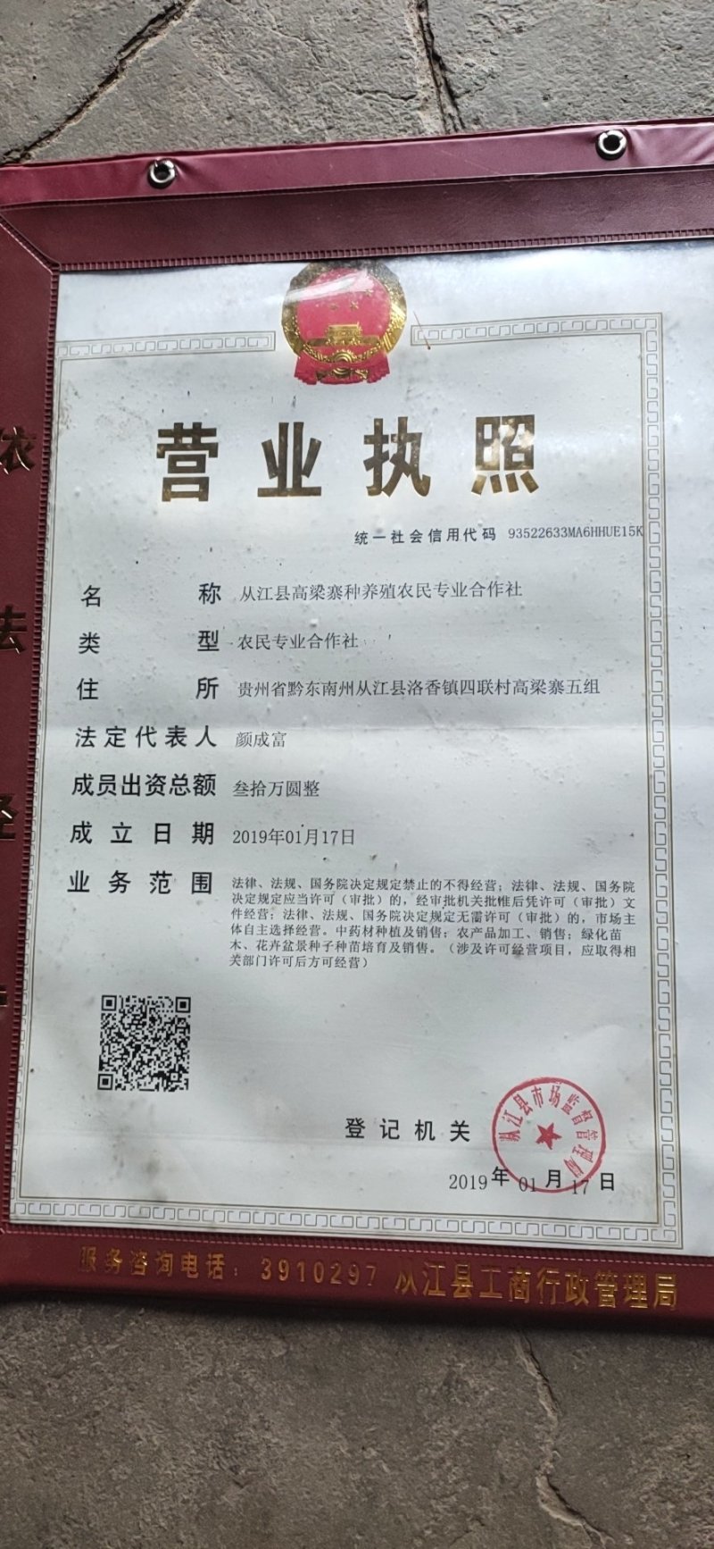 虫茶一级