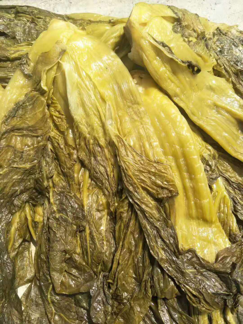 高盐度泡青菜，个头大，颜色好