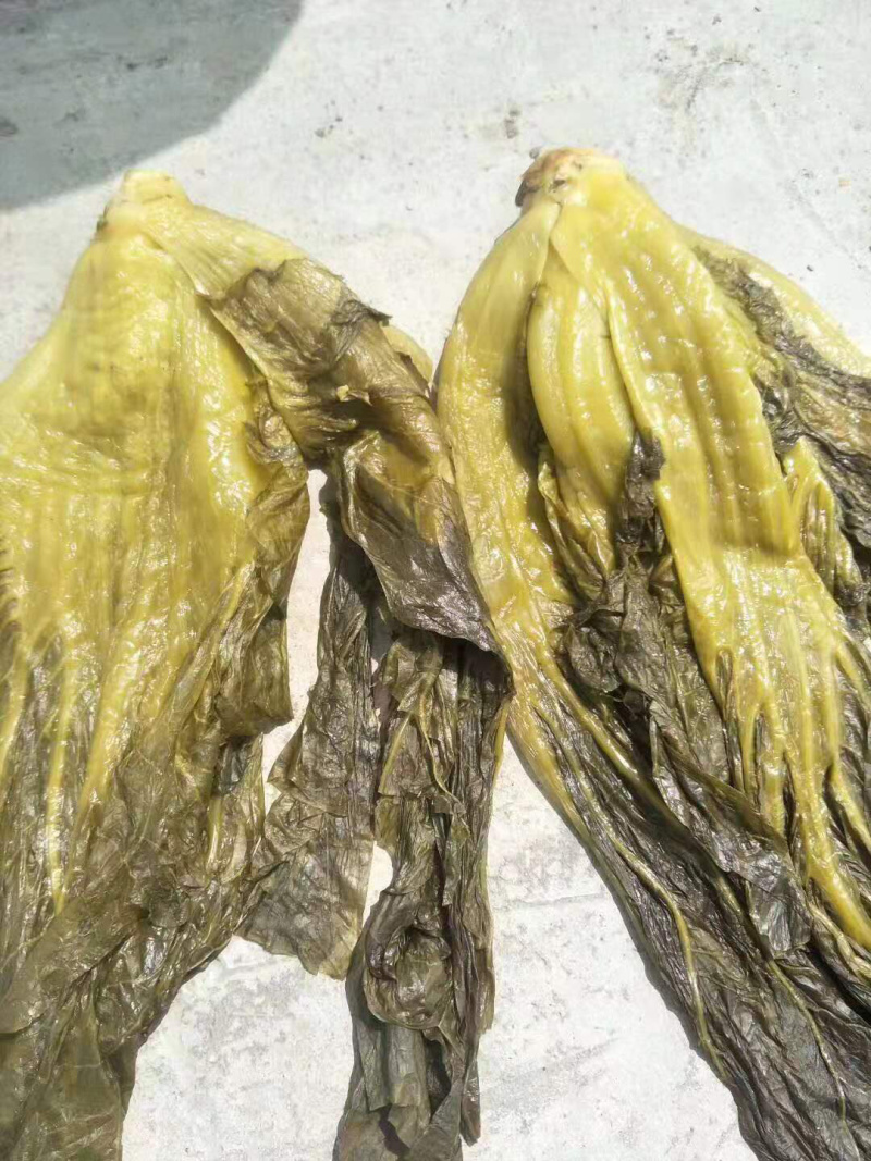 高盐度泡青菜，个头大，颜色好