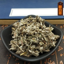 翻白草中药材野生正品番白草量大从优