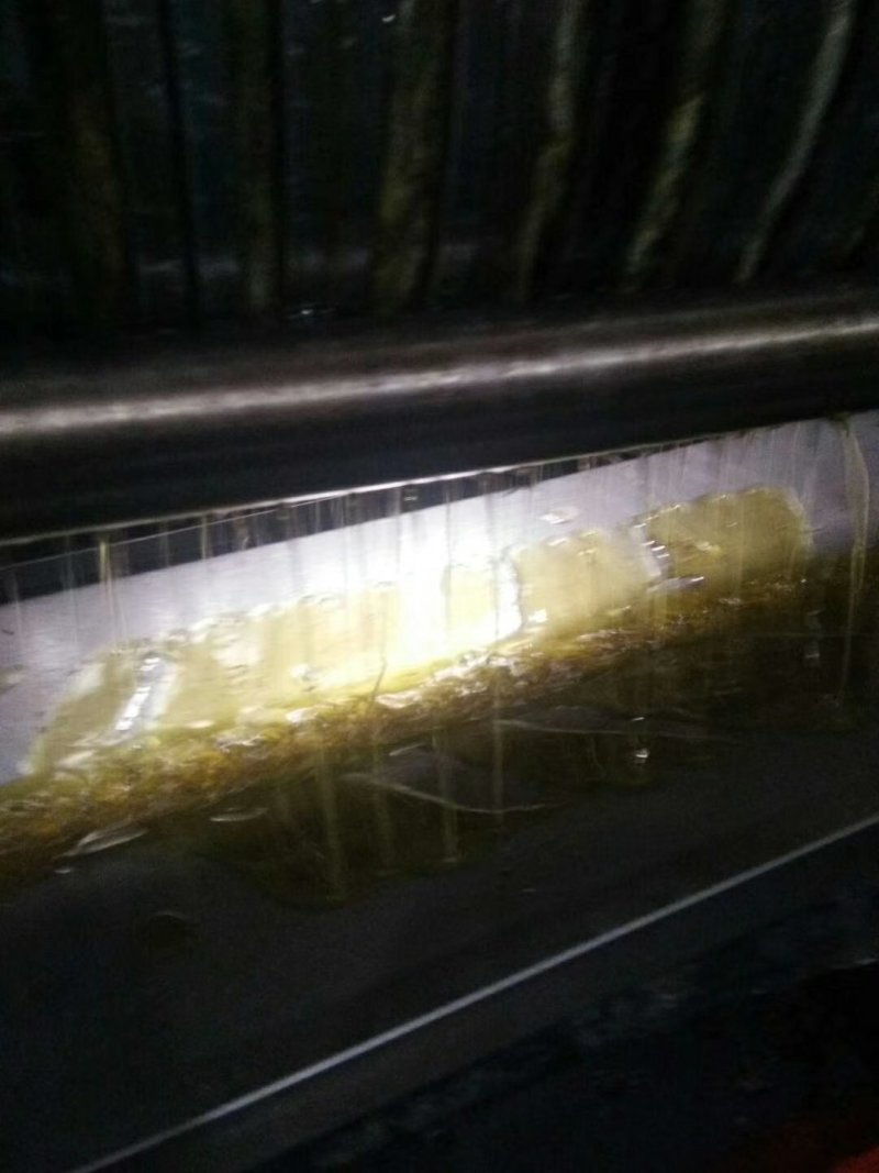原生态压榨山茶油，气味氛芳色泽透亮营养丰富