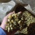 【菊花】精品胎菊花茶清热去火产地直销欢迎采购