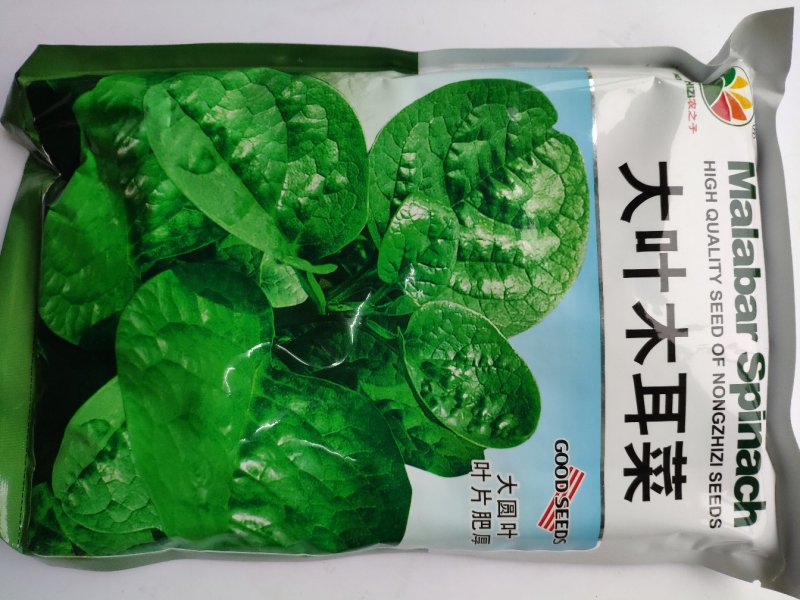 大叶木耳菜种籽高产耐寒耐抽苔木耳菜种500克