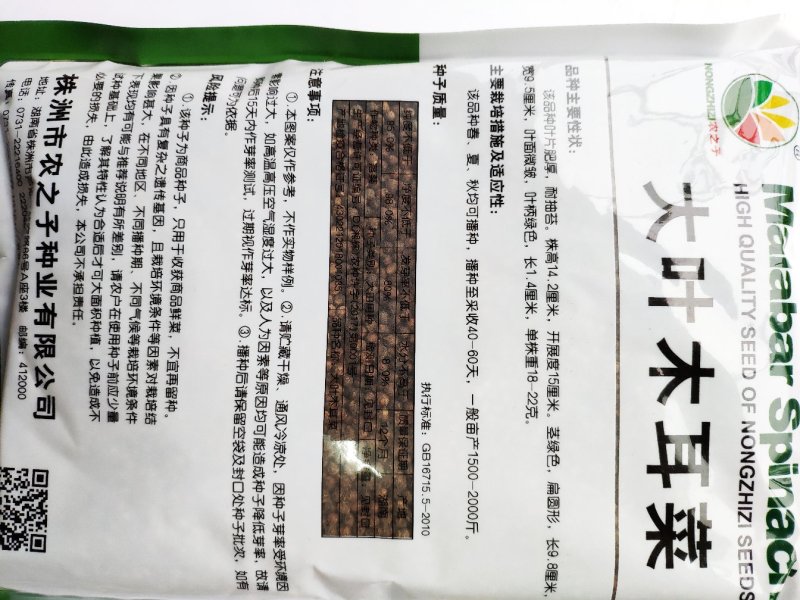 大叶木耳菜种籽高产耐寒耐抽苔木耳菜种500克