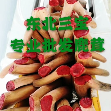 【源头好货】梅花鹿茸鲜鹿茸整只可切煲汤泡酒药材自营鹿场