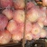 红富士苹果,冰糖心,优质产地货源价格优惠保质保量
