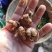 紫花小白芨，去须小白及，无黑块茎，一手货源，可全国发货
