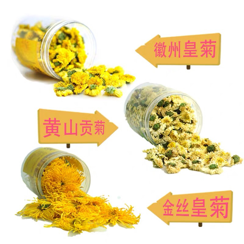 徽州金丝皇菊-精品