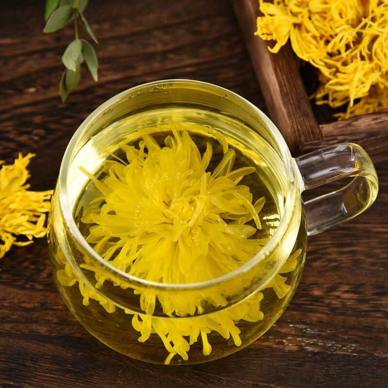 徽州金丝皇菊-精品