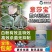 意莎宝四氟醚唑草莓黄瓜甜瓜月季黑斑病白粉病梨黑星病杀菌剂