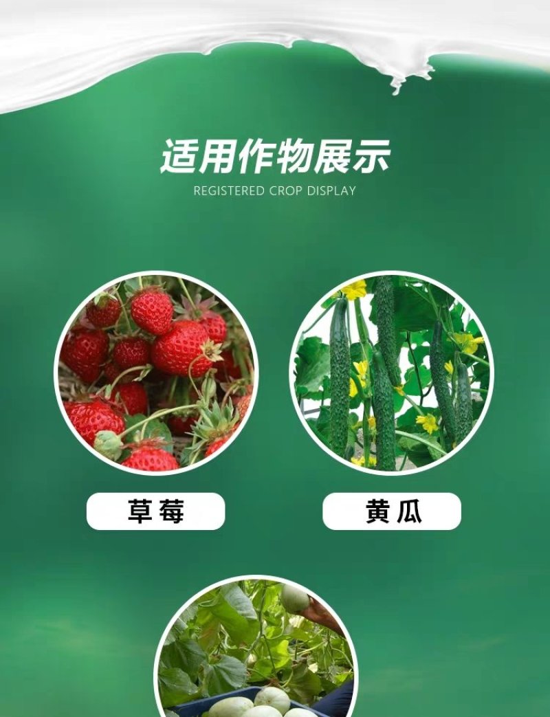 意莎宝四氟醚唑草莓黄瓜甜瓜月季黑斑病白粉病梨黑星病杀菌剂