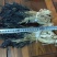 兰州白菜，干净无沙，质量保证，价格美丽，欢迎进店看货