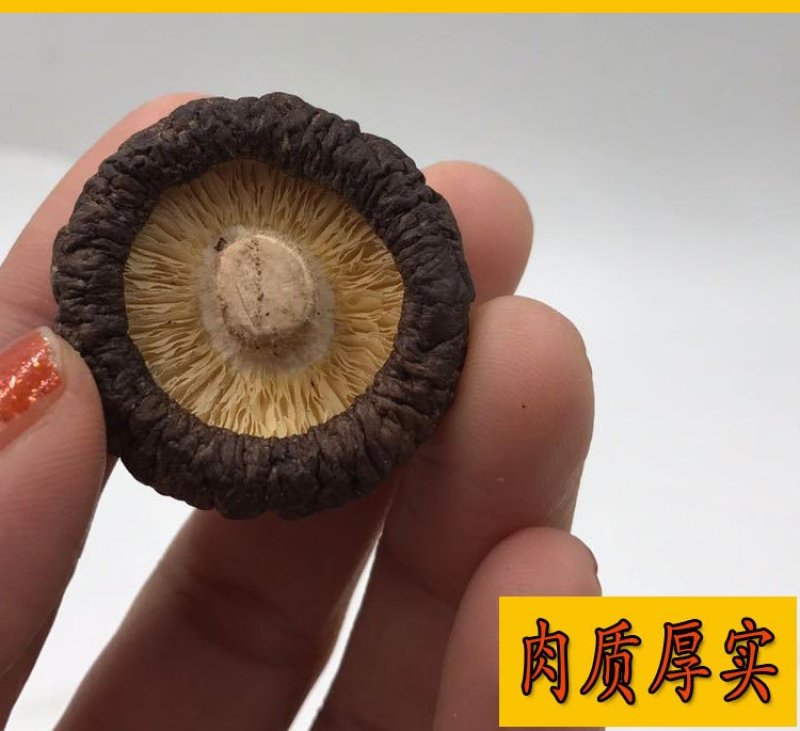 【年货节】特级野生小香菇金钱菇干货剪脚