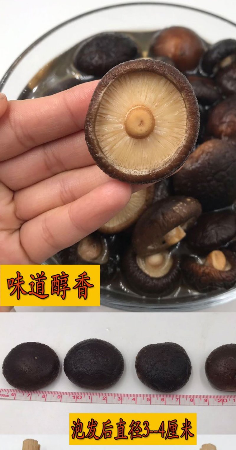 【年货节】特级野生小香菇金钱菇干货剪脚