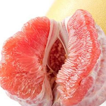 三红蜜柚