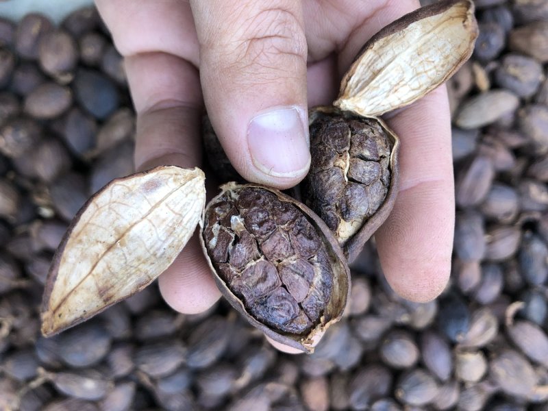 香料及药材