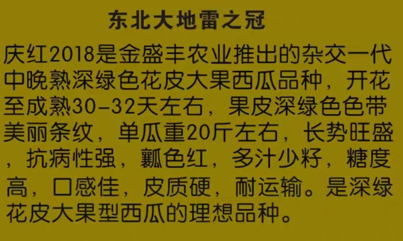 庆红2018西瓜种子中晚熟大果地雷花皮深绿抗病强少籽杂交