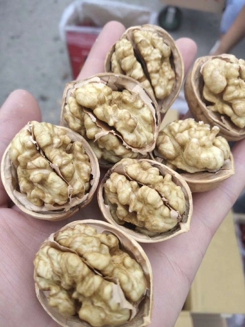 新疆纸皮核桃185皮薄仁厚手捏即开