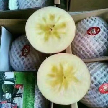 来吧，天然维生素。没事吃个苹果🍎🍎