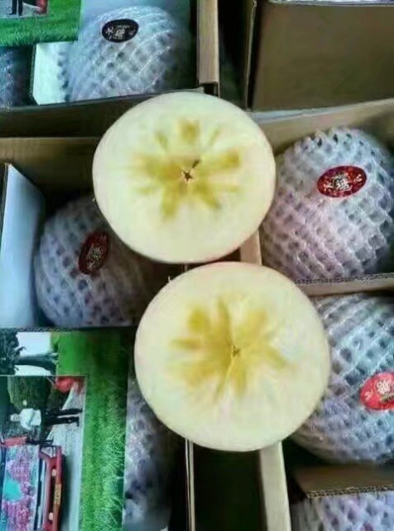 来吧，天然维生素。没事吃个苹果🍎🍎