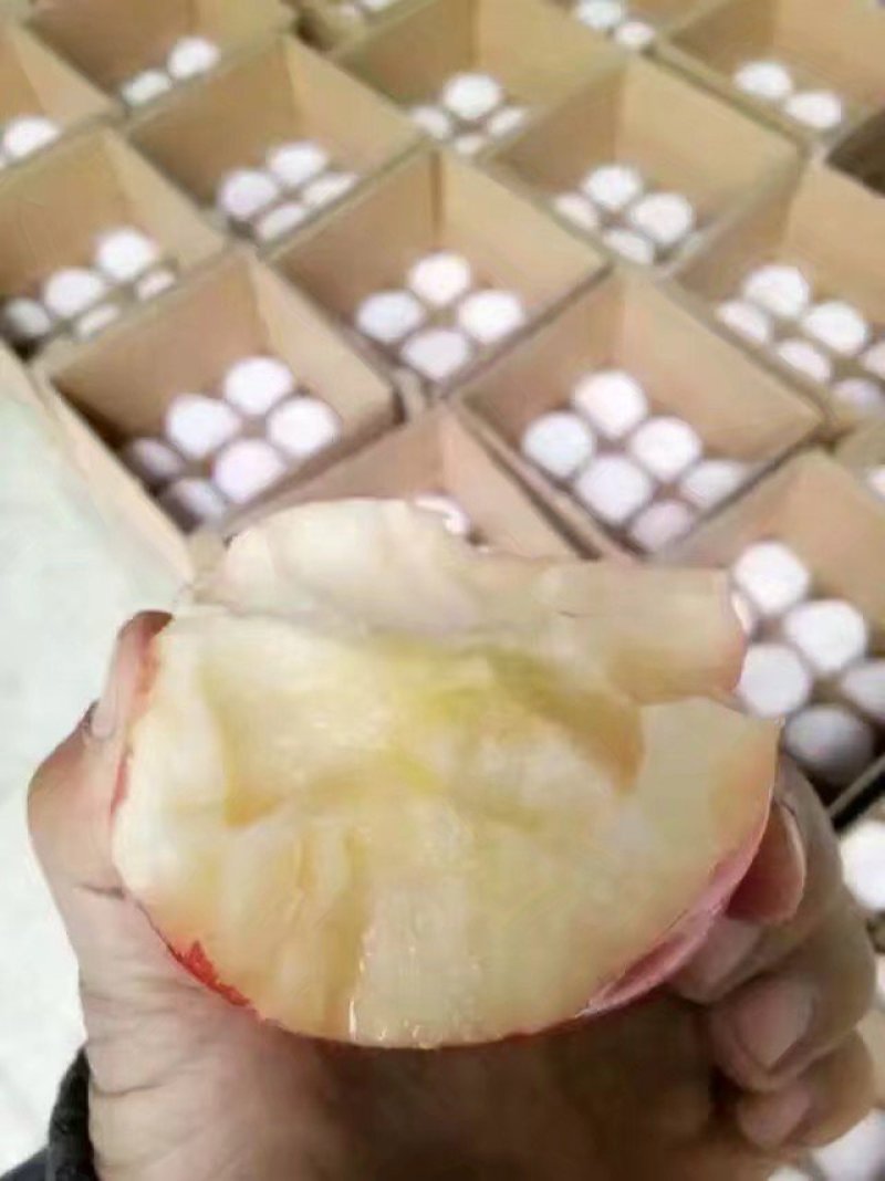 来吧，天然维生素。没事吃个苹果🍎🍎