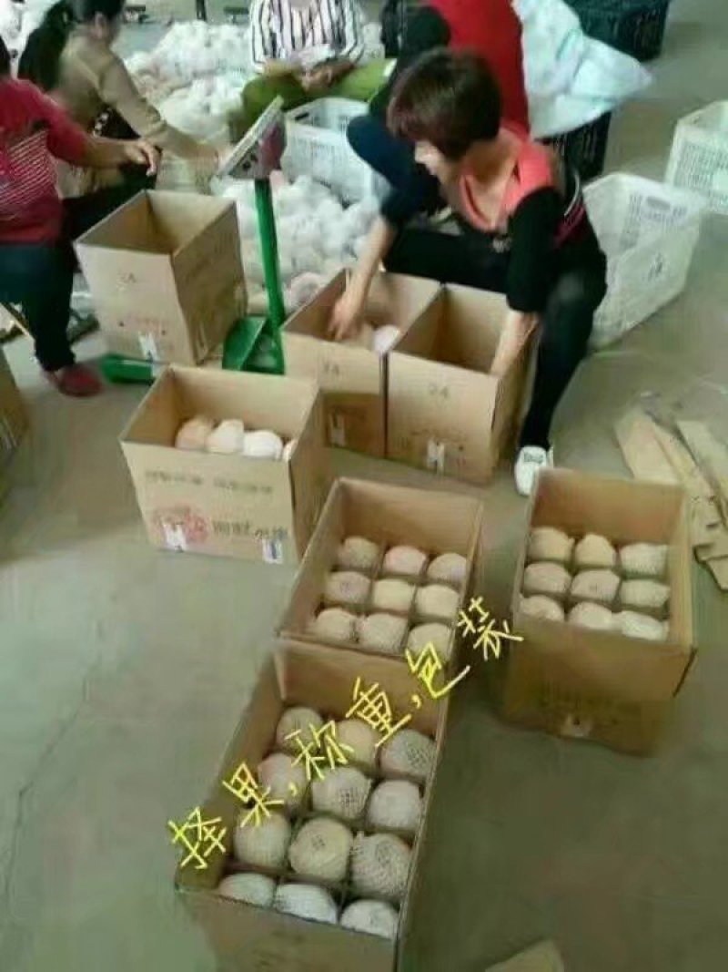 来吧，天然维生素。没事吃个苹果🍎🍎