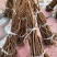统货无硫千斤拔干条