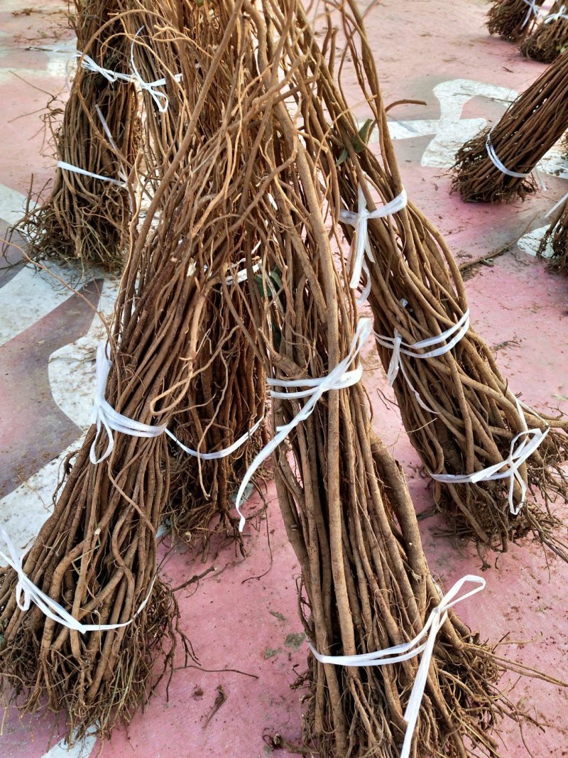 统货无硫千斤拔干条