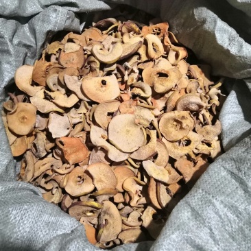 药用木瓜片