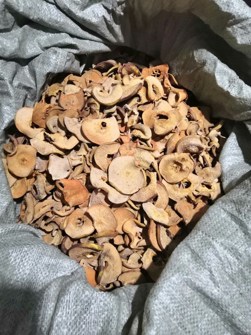 药用木瓜片
