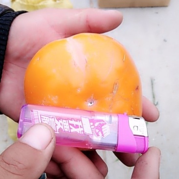 枾子
